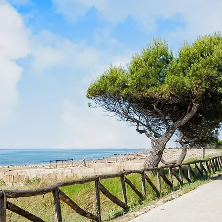 Great Flat In A With Pool アパート